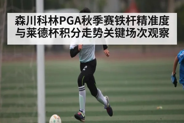 森川科林PGA秋季赛铁杆精准度与莱德杯积分走势关键场次观察